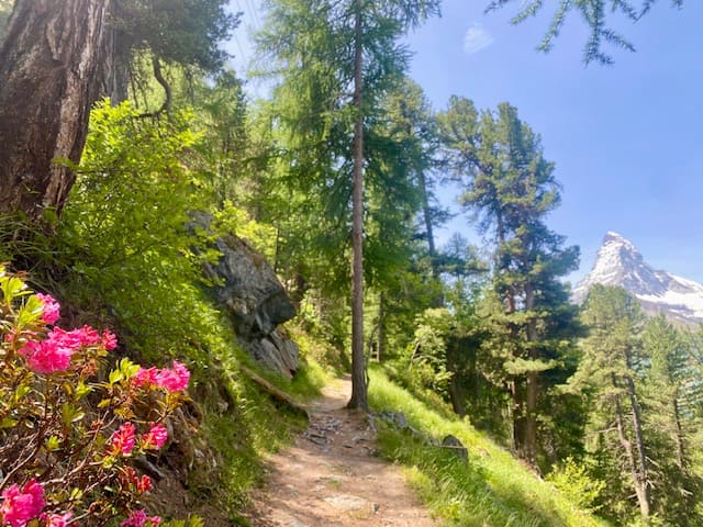 Wanderweg Zermatt Topas