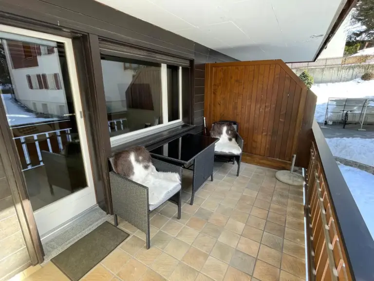 apartment-forest-zermatt-urlaub-berge-gemuetliche-wohnung-29