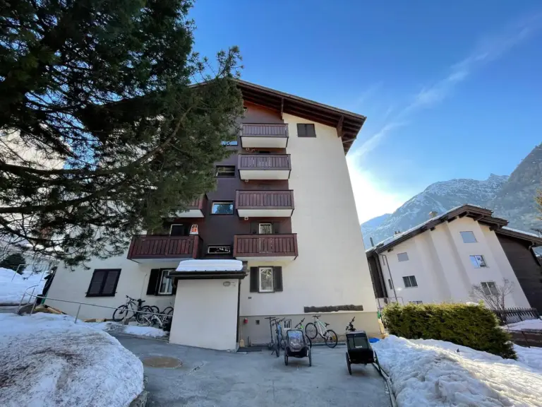 apartment-forest-zermatt-urlaub-berge-gemuetliche-wohnung-30