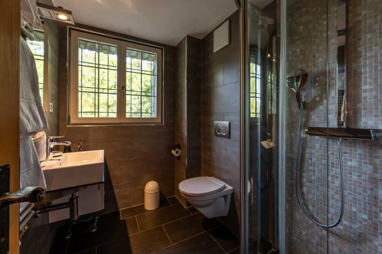 bathroom with toilette and shower