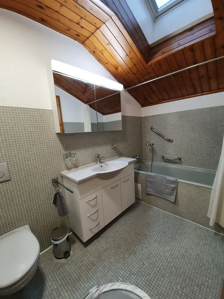 haus-viktoria-apartment-a-badezimmer-dachfenster