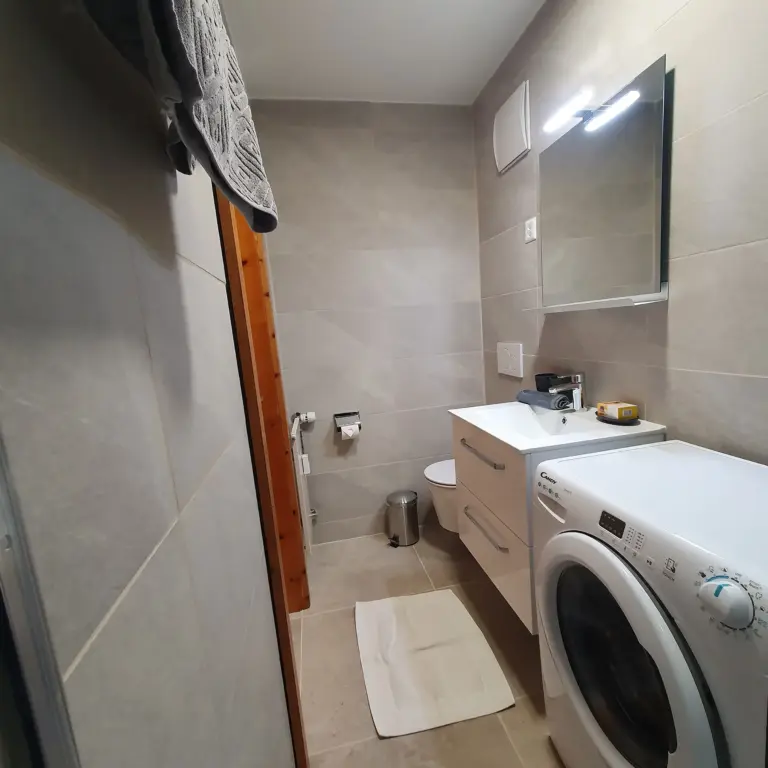 haus-viktoria-apartment-a-badezimmer-mit-waschmaschine